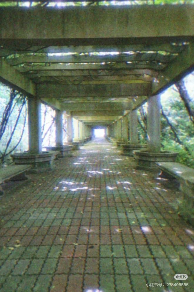 中式梦核Z世代的电子乡愁